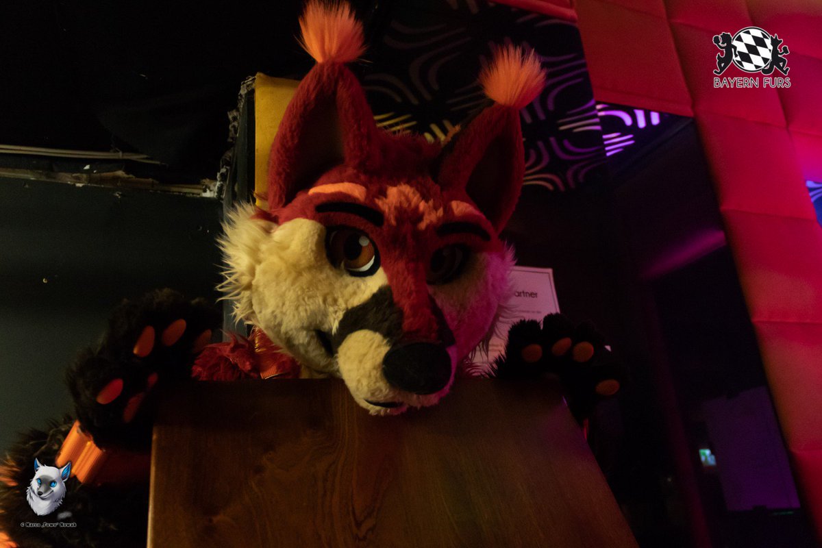 BayernFurs's tweet photo. Ein wenig entspannendes Suiten für @FervoryFire während des #BFD8.
#FursuitFriday
#SocialMediaTeam https://t.co/3jsh7je4s2