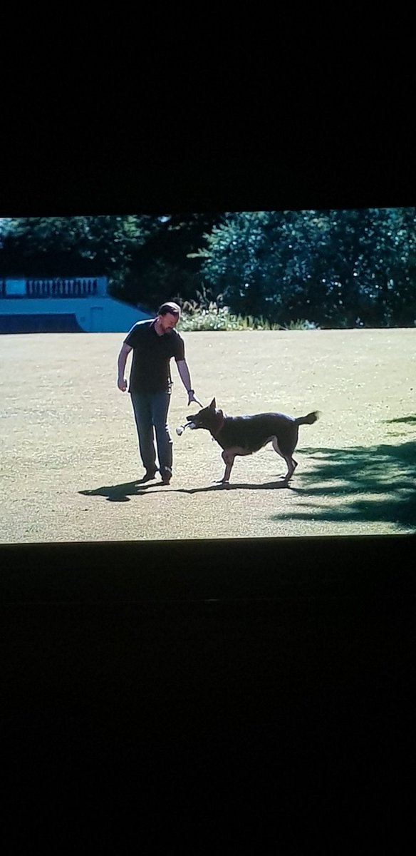 Matt_black82's tweet photo. Watching #afterlife in bed fucking love this show @rickygervais https://t.co/LD60Lt13Fb