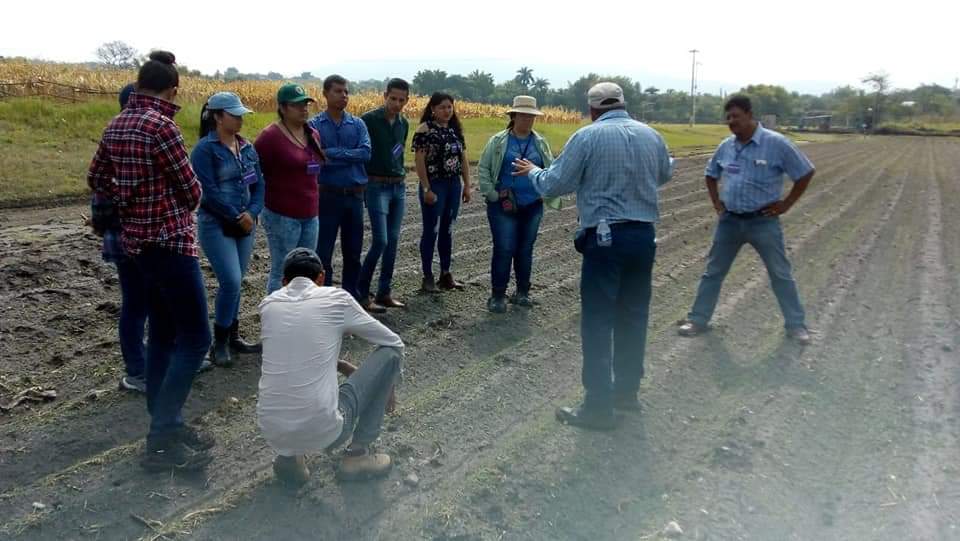 AnaCIMMYT's tweet photo. Inducción de técnicos del H. Ayuntamiento de Axochiapan, Tepalcingo y Tlaltizapan, en la plataforma de #CIMMYT Tlaltizapan, Morelos con el objetivo de darles a  conocer las tecnologías #MasAgro. 31/05/2019 #AlinazasSustentables #HubPCTO #CIMMYTporMexico @vmva1950 @SedagroMorelos https://t.co/W8M2f0Z1ID