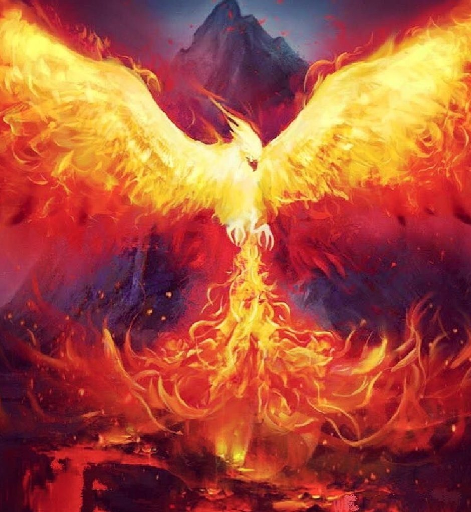 tineous's tweet photo. Da igual los techos que me pongas, siempre se romperán y volveré a volar por encima de todas las limitaciones #fenix #fuego #aire #resugir #cenizas https://t.co/CymzlKuWSL