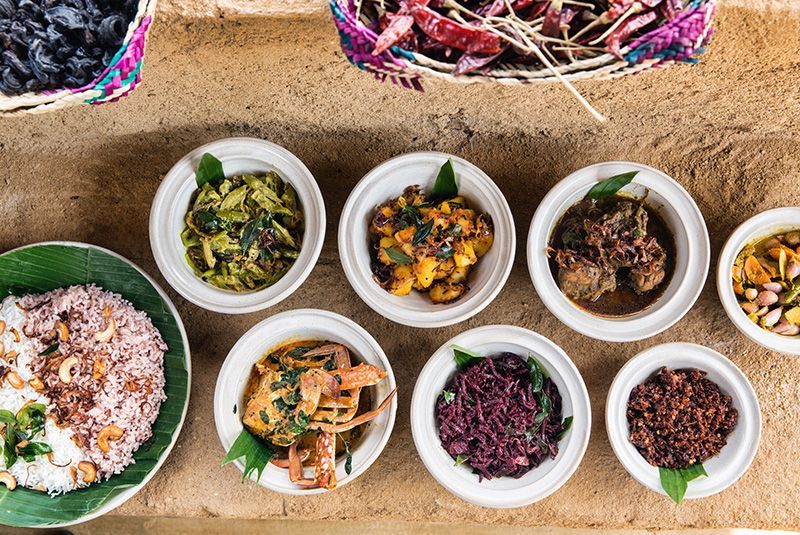 geoex's tweet photo. From gorgeous beaches and temples to sensational wildlife and cuisine, see why #SriLanka is one of our favorite destinations! https://t.co/36HY19TrrD #geoex #travelblog https://t.co/jYdayel4jE