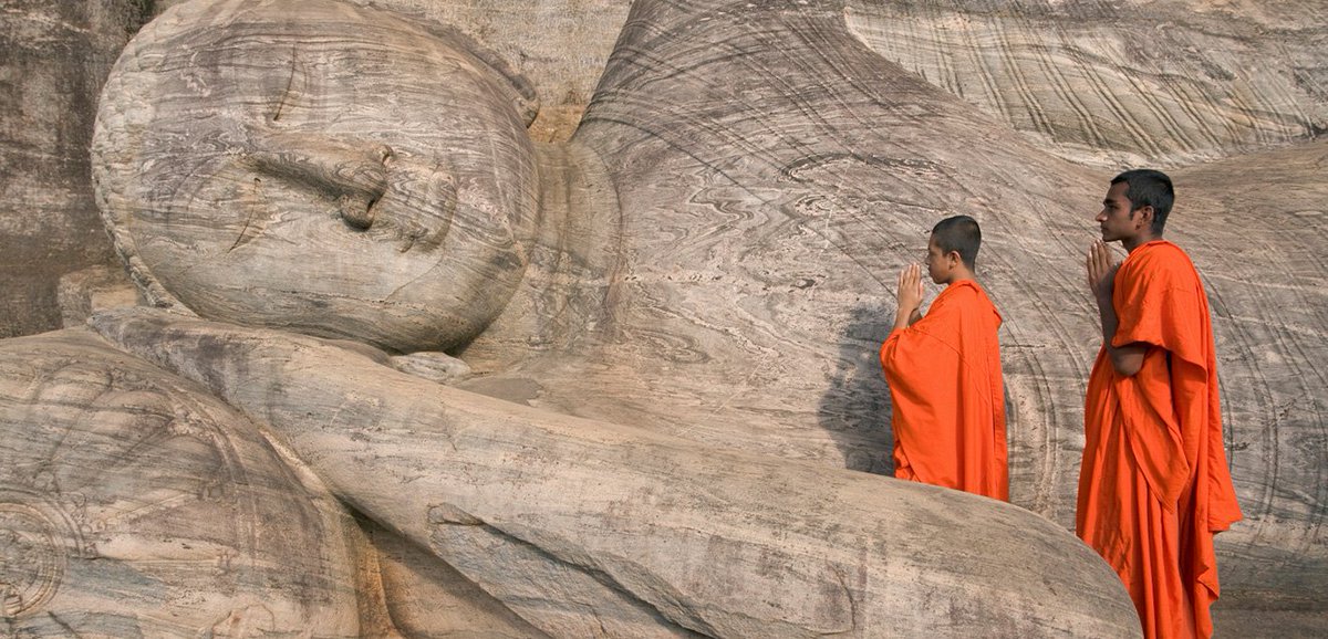 geoex's tweet photo. From gorgeous beaches and temples to sensational wildlife and cuisine, see why #SriLanka is one of our favorite destinations! https://t.co/36HY19TrrD #geoex #travelblog https://t.co/jYdayel4jE