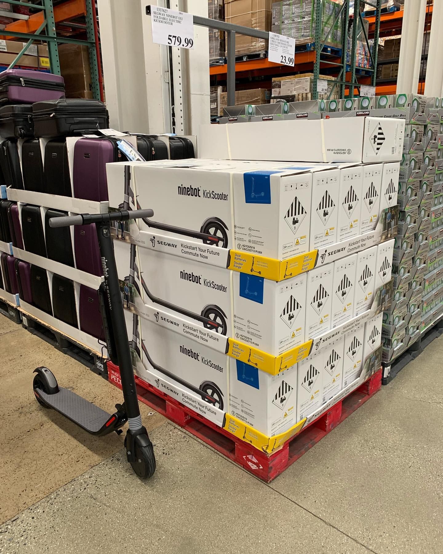 Hoverboard costco hotsell
