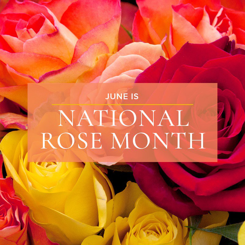 CarithersFlwrs's tweet photo. June is National Rose Month! 🌹 Send your loved one a beautiful arrangement! https://t.co/ewFO1VasHT https://t.co/90nO2UhnNH