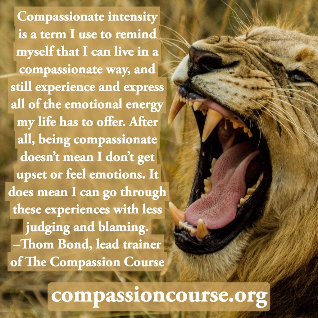 compassioncours's tweet photo. The Compassion Course begins in 13 days on June 19. 
https://t.co/HFQuskKYgY #compassion #empathy #peace #worldpeace #marshallrosenberg #nonviolentcommunication #nvc #gandhi #deepakchopra #oprah #tonyrobbins #personaldevelopment #brenebrown #communication #humanity #nonviolence https://t.co/Z8pkt748bD