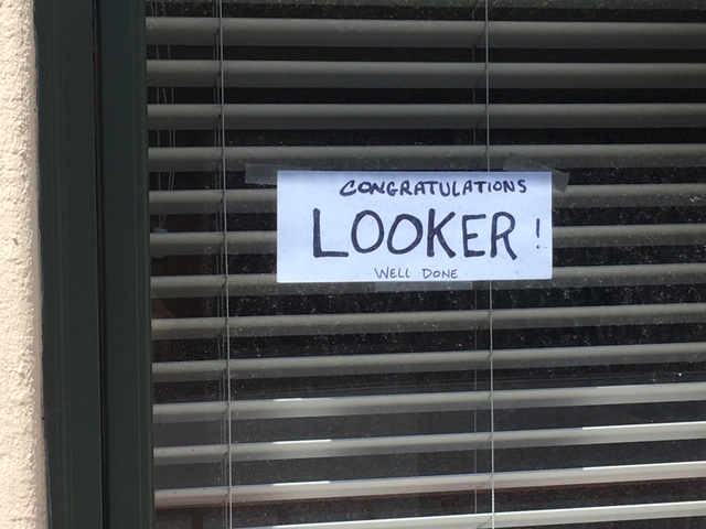 frankbien's tweet photo. Post of the day #lookersc @LookerData https://t.co/slYSebQ7OB