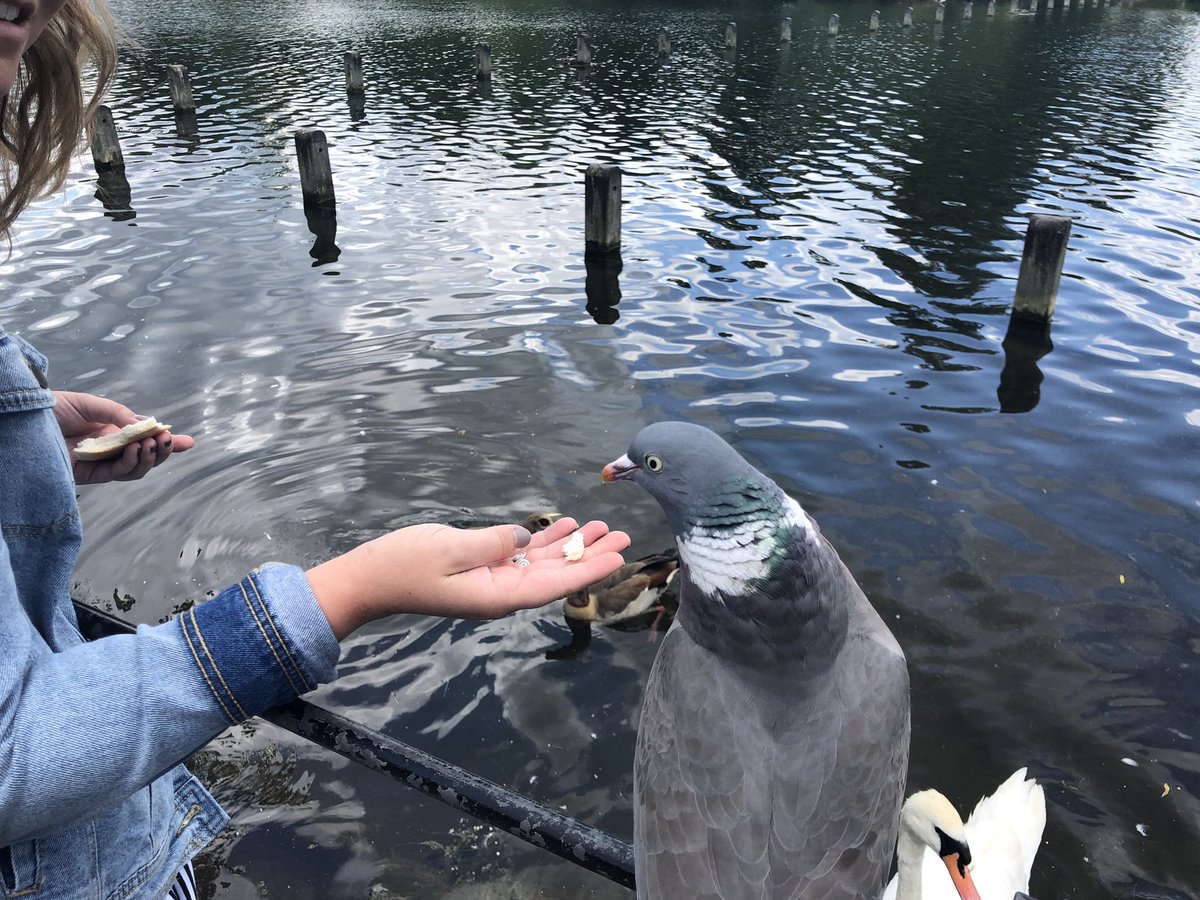 Kallie Smith tweet media