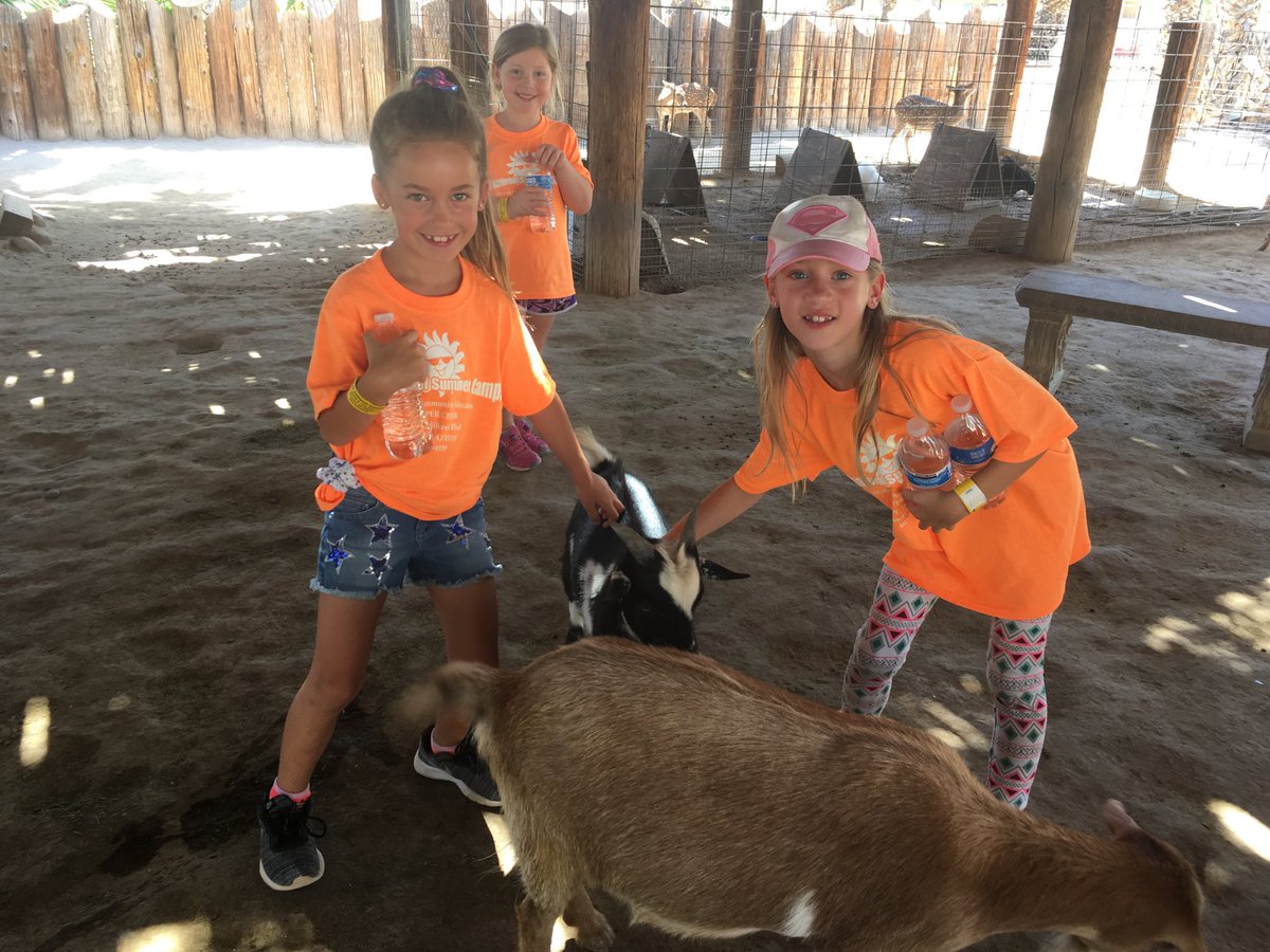 lpepe808's tweet photo. @CommunityDv #SunsationalSummerCamp2k19 🌞 Field Trip to the #wildlifezoo 🦒🐬🦜🦢🐢@CCBobcats @DVUSD Happy kiddos 👫👫 https://t.co/6VOyNYlLdC