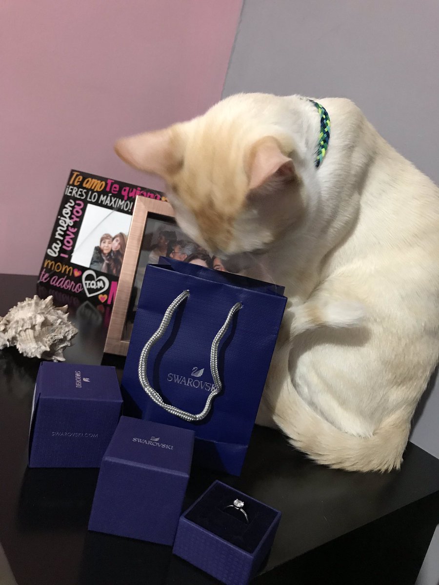 shachuasg's tweet photo. Mi novio me dio este anillo de promesa 🥺🥺 refleja lo mejor de nuestra historia de amor y de ese futuro con el que soñamos.💕😭😭 https://t.co/pfMGRP8sgu