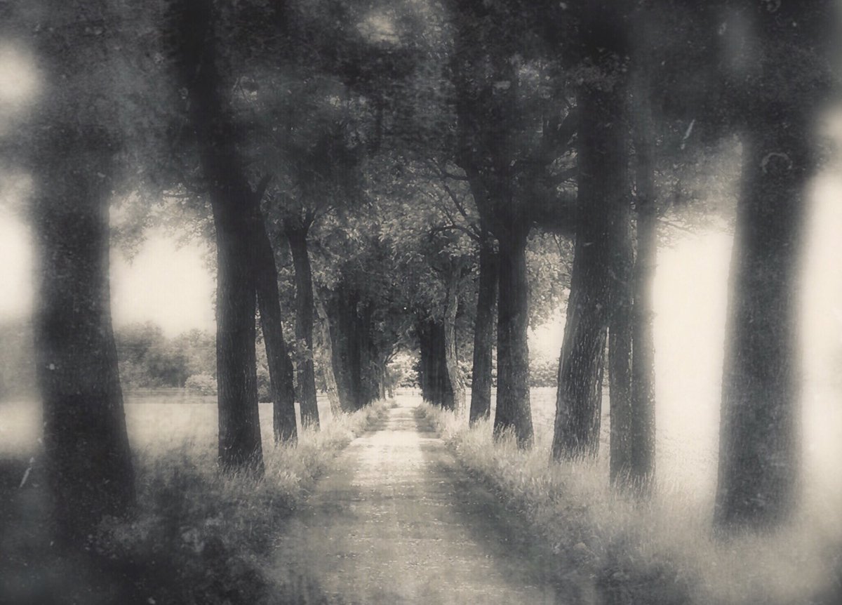 __ __

Ph. by me