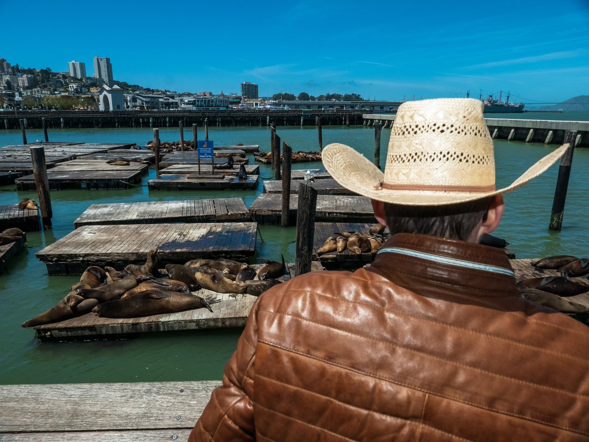 soakedinsalt's tweet photo. Street photography - "Sea Lion Friends" #street #photography #sanfrancisco #streetphotography #digitalsalt #soakedinsalt #streetzone #streetizm #lifeframer #burnmyeye #streetleaks #everybodystreet #streetfotosf #sealion #pier39 https://t.co/DxUMa22qen