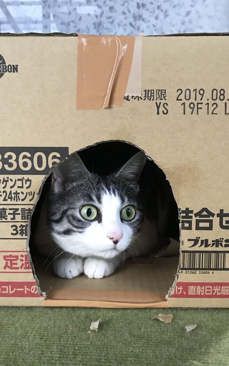 他人に厳しく自分に甘い