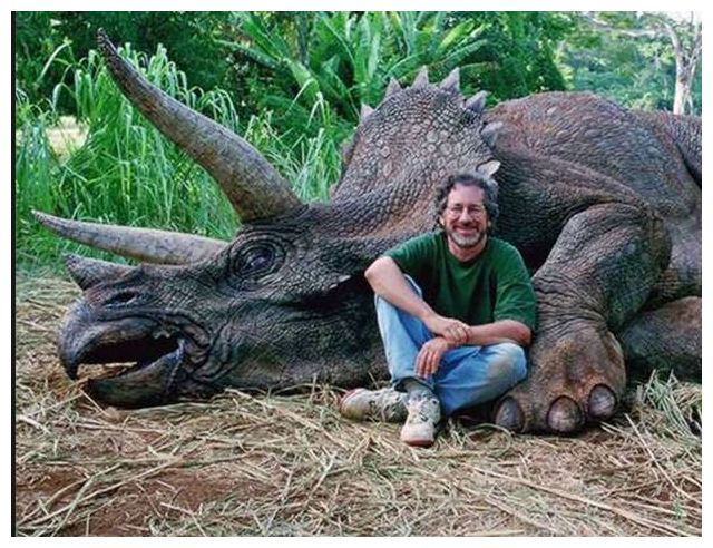 Koe J. Fry tweet media