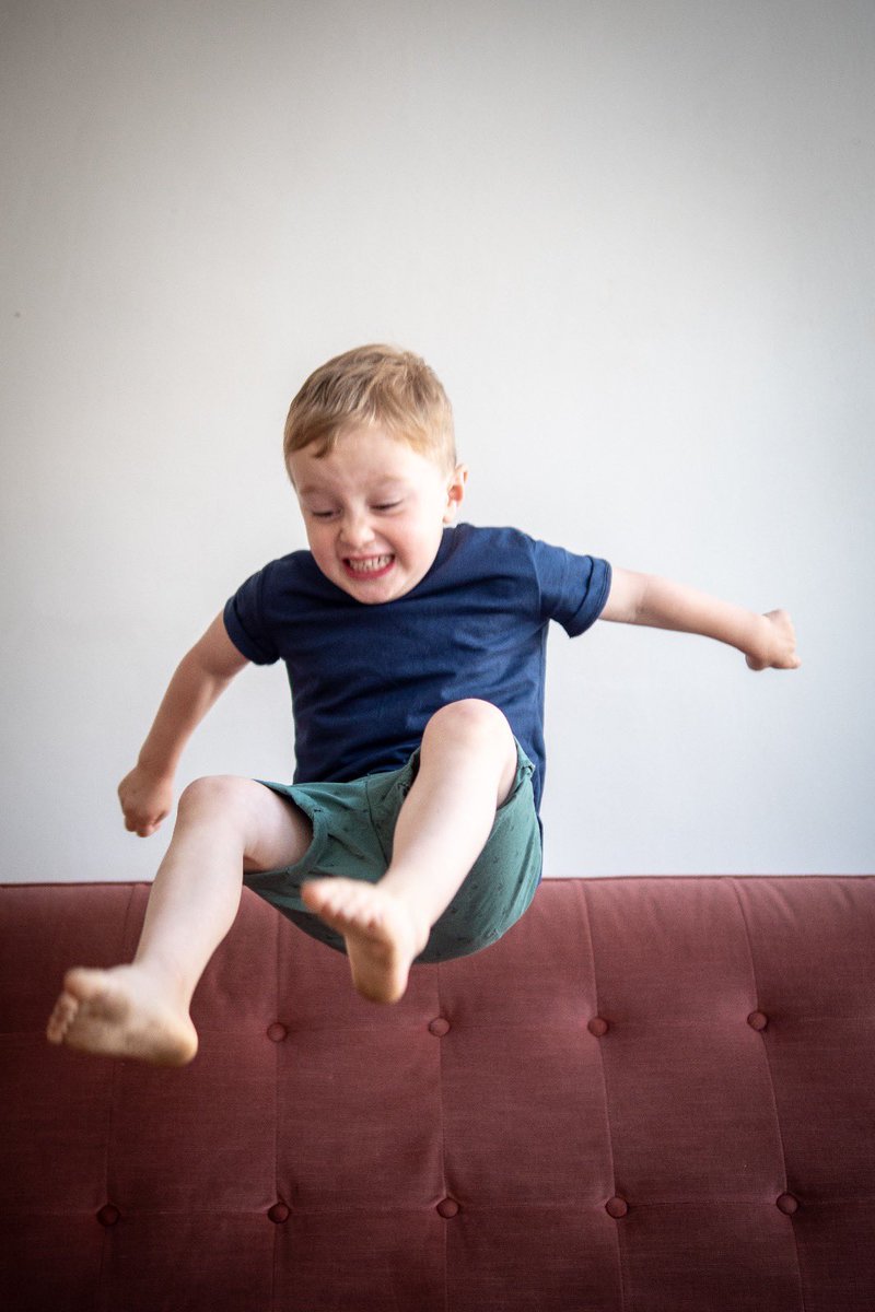 MOJO YARD tweet media