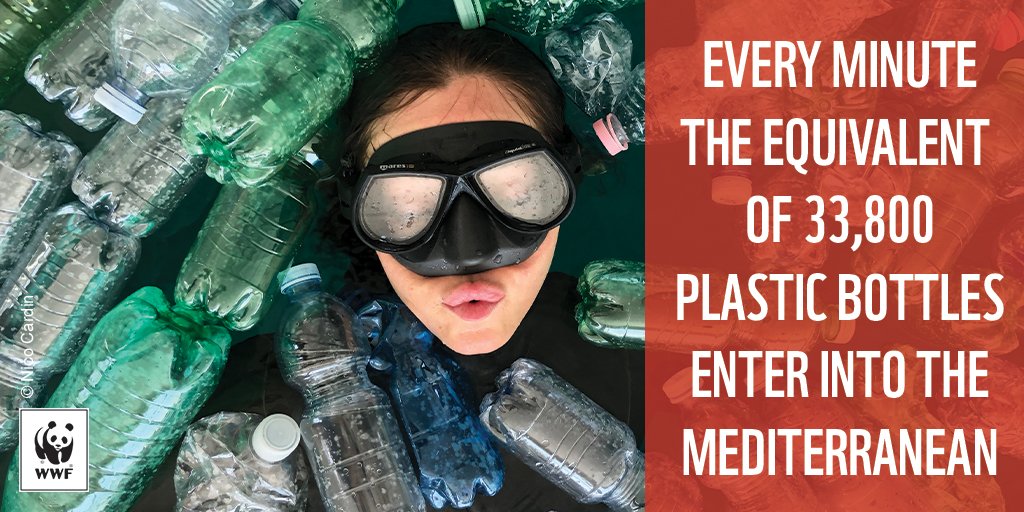 WWF_Med's tweet photo. #BREAKING Every year, 0.57 mill tonnes of #plastic end into the Mediterranean impacting some of the most 🏖️ touristic areas. New #WWF report shows the failures of a flawed🥤🍴 #plastic system that must be fixed to #StopPlasticPollution #WorldOceansDay https://t.co/S9lRXuvpjT https://t.co/STdwBrZnIt