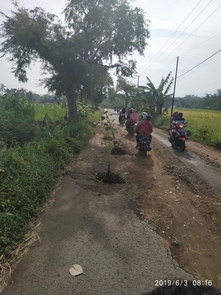 jokootoleee's tweet photo. Ta' tuli tp g mendengar 
Ta'buta tp g melihat 
Masyarakat kec gading menanam pisang di tengah jalan kab sebagai bentuk protes masyarakat dg insfratruktur yg sangat amburadul 
#dinasPUbinamargakabprobolinggo
#Pubinamargapropensijatim
#pemdakabprobolonggo https://t.co/YZXa01xkwc