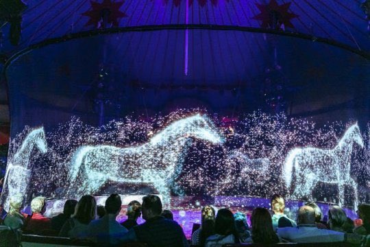 musearium's tweet photo. Hologram Circus! Wow https://t.co/2Fc70Vpkkc https://t.co/p9D5kVbXKy