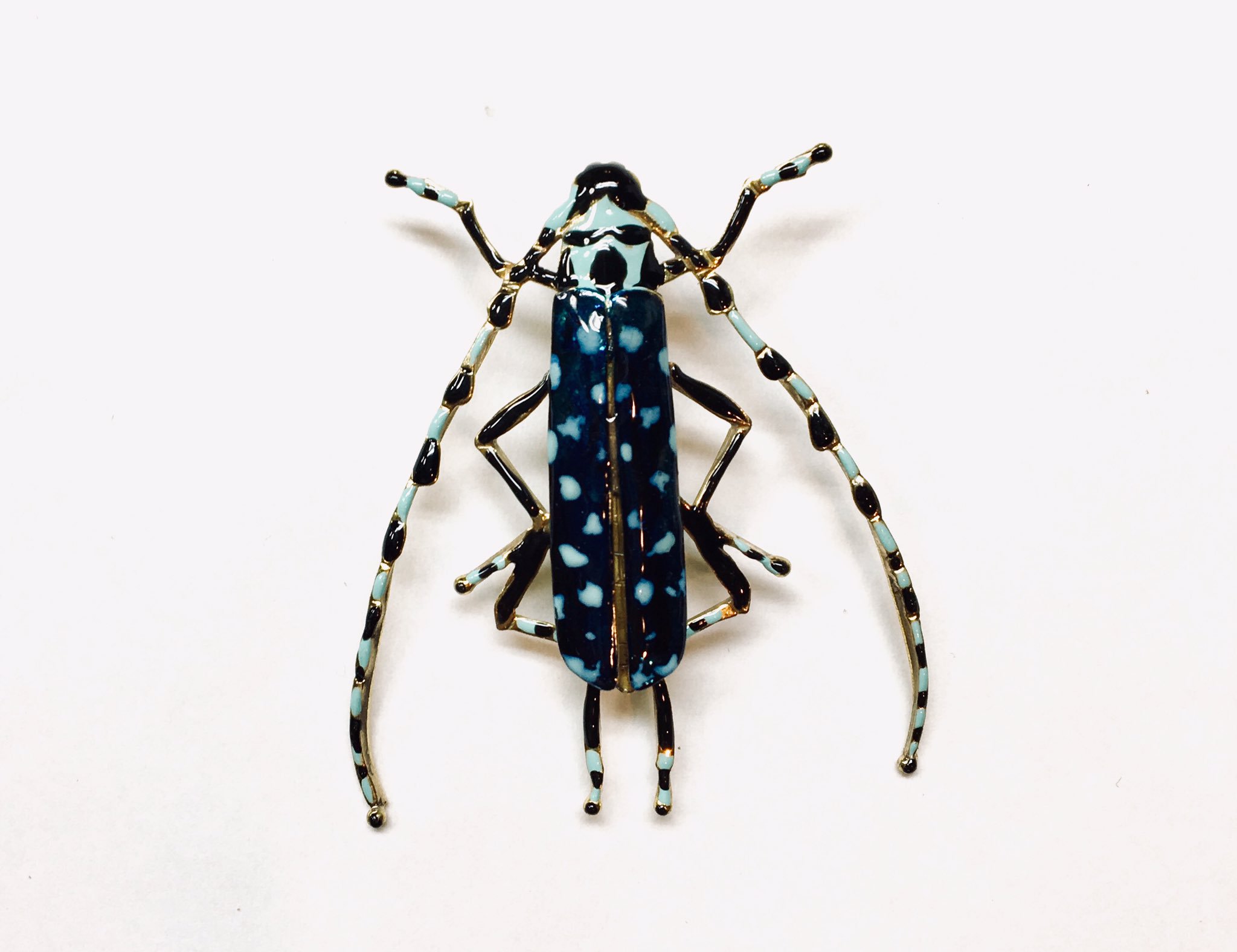 イシダマコト カミキリ虫 ピンバッヂ リング ヘアクリップ 昆虫アクセサリー ハンドメイドアクセサリー カミキリ虫 T Co 3scds93xae Twitter