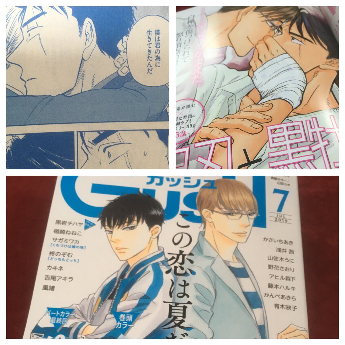 本日6/7発売GUSH 7月号に「白刃と黒牡丹」パートカラーで最終話が掲載です。ブサメンは一箇所隠れているよ〜最後までお付き合いありがとうございました!ご感想など頂けましたら嬉しいです!!! 