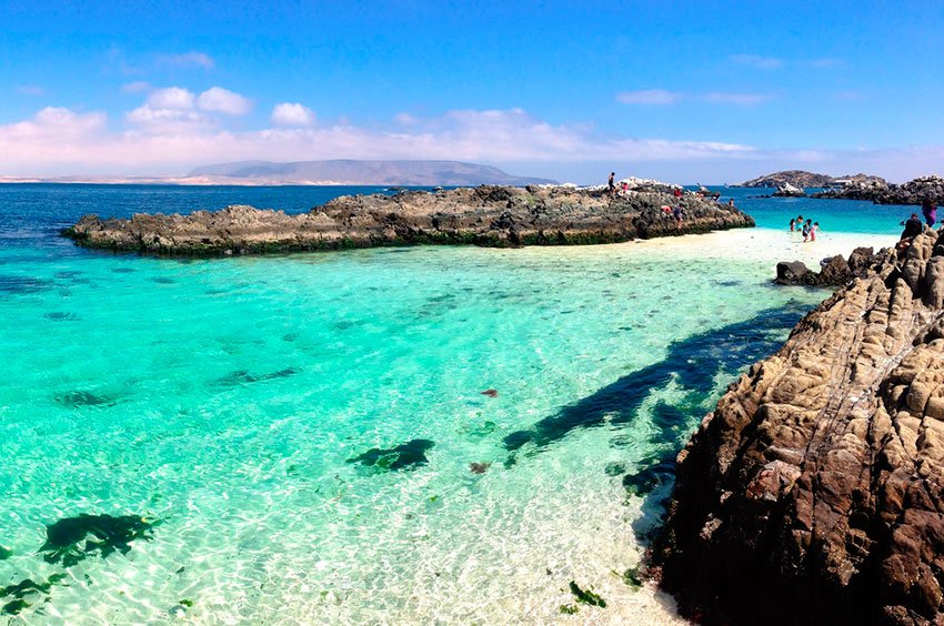 criptour's tweet image. Andan en tren, es de lo mejor, se tira el cordel y se para el tren..
criptour te acompaña en tu viaje, pronto lanzaremos nuestra app, cientos de locales con las mejores ofertas en alojamientos, comida, viajes y mucho más.
criptour, viaja sin fronteras por latinoamerica y el mundo