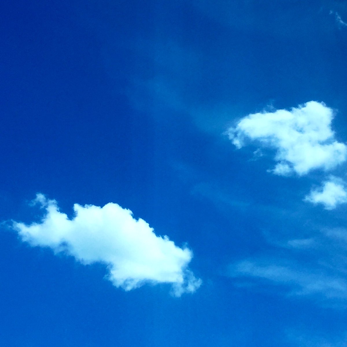 rainbowknj's tweet image. #Clouds #Sky #ForJK