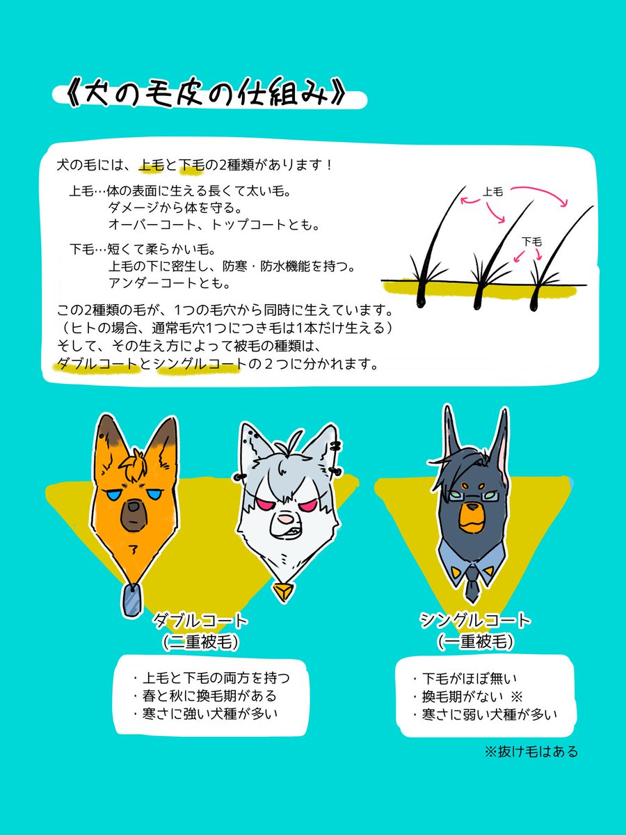 犬化ですご注意!!
別のところとpixivにも上げたけど、せっかくだからここでも上げる。

体感温度に絶望的な差がある犬のMTC 