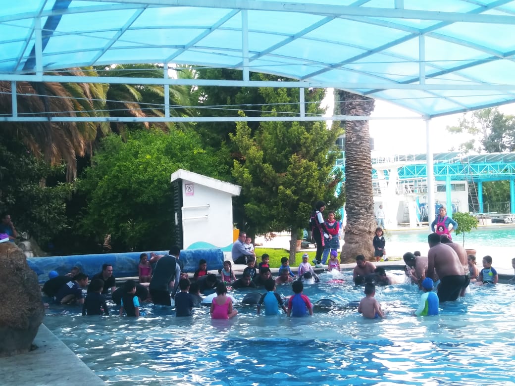 CenhchComunica's tweet photo. #Entérate 🏊‍♂️ | Este jueves los papás de los alumnls de prescolar de segundo año del #CENHCH recibieron un inesperado y extraordinario regalo con una convivencia con sus hijos en el área de la alberca olímpica. https://t.co/zYi8eewYP0