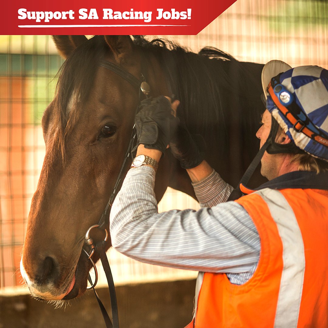 SupportSARacing tweet picture