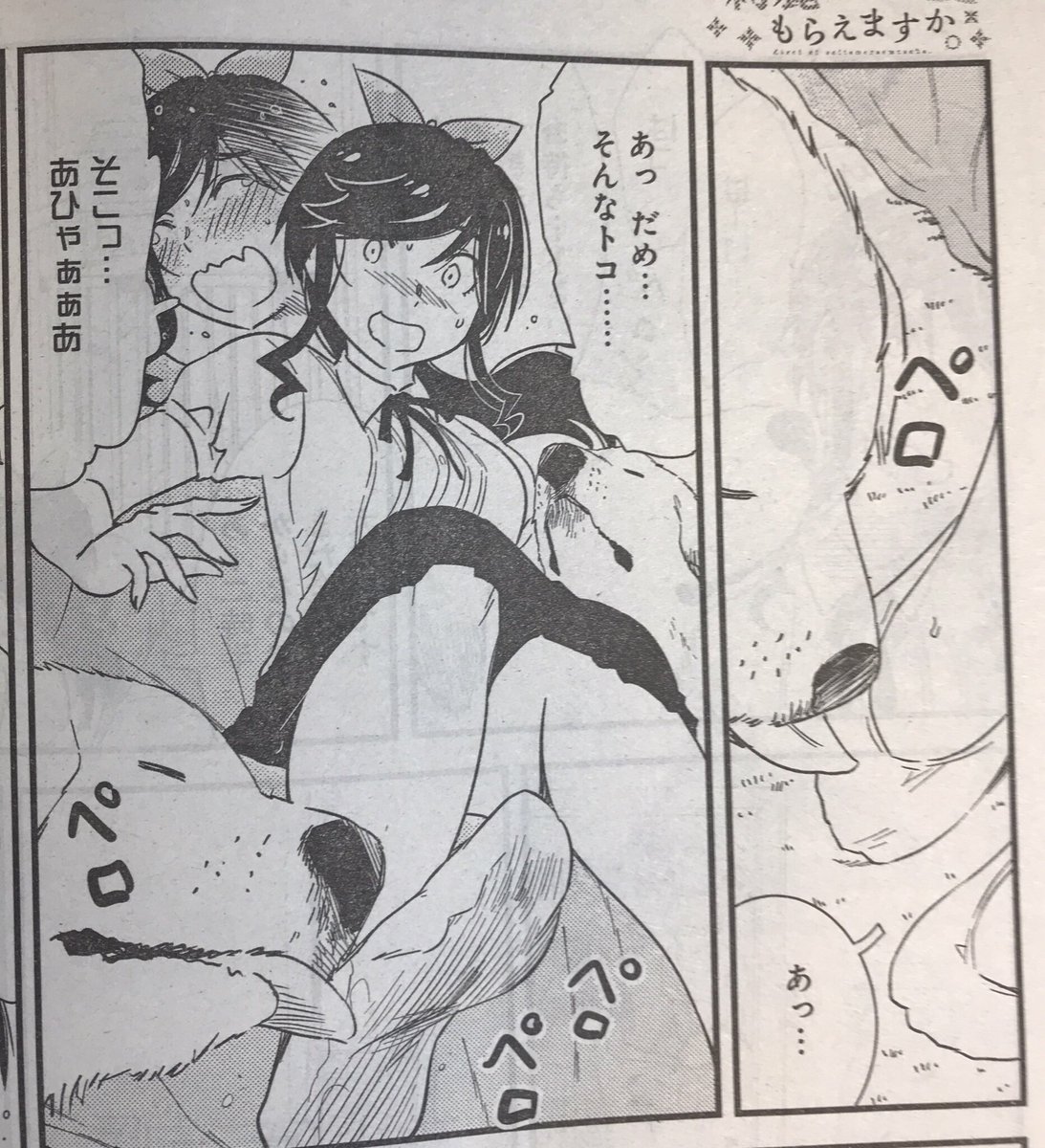 【宣伝】
本日発売のヤングガンガン最新号に『綺麗にしてもらえますか。』23話が載っております。
今回は金目さん、初鮎さん家でランチを楽しんだり、大型犬×2と戯れたりするお話です。
