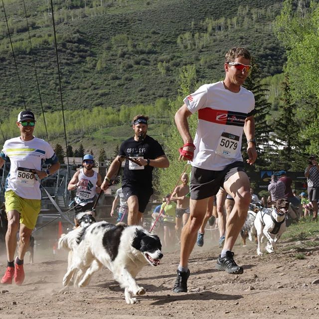 btrakita's tweet photo. Off to the races, @mountaingamesvail #UMC is underway, starting off with the #rockydog run, Shadow was awesome dog. 1 down 5 to go.
๐ธ@petermaksimow/@atratrailrunner
#goprogames #ultimatemountainchallenge #FuelandSlay #SportYourStyle #CoRunCo https://t.co/PpfdY84Il8 https://t.co/1V2peidK1B