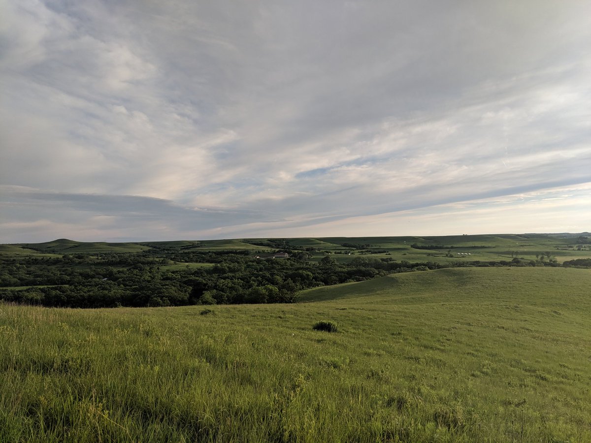 jfischerbotany's tweet photo. Loving the Konza prairie so far with @HERSInternship !! #HERS2019 https://t.co/t5OFjyIJh4