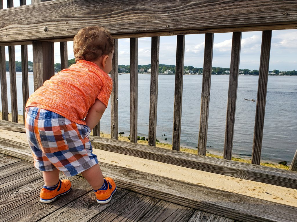 GetOutsideNJ's tweet photo. "Here ducky ducky. Heeere ducky!" :) We had a fun time in this fun little park in point today! It is always nice to have an after-work adventure! #riverfrontpark #getoutsideeveryday #afterworkplaytime #nj #pointpleasant #river #manasquanriver #treasureisland #toddleradventures https://t.co/TFd72a8f9I