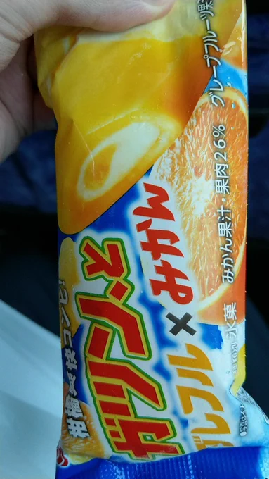 雨降っててもアイスる 