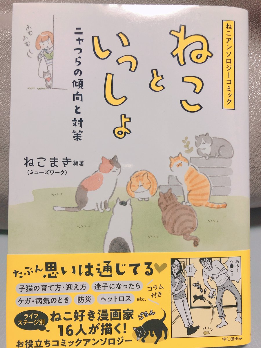 【告知】明日6/8に発売される『ねこアンソロジーコミック　ねこといっしょ
ニャつらの傾向と対策』（）にエッセイ漫画で参加させて頂きました！
どのページを開いても猫！猫漫画たくさん！とい… 
