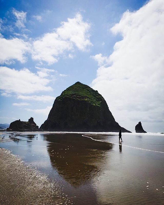 OutdoorAsian's tweet photo. Here at Outdoor Asian, we know that being outdoorsy doesn’t just mean backpacking, mountaineering, and hiking 12 mile trails. It also means having BBQs, going for a swim, and long walks on the beach. To learn more about us and what we do, check out the l… https://t.co/6q1bFIylBu https://t.co/T250p7ClQC