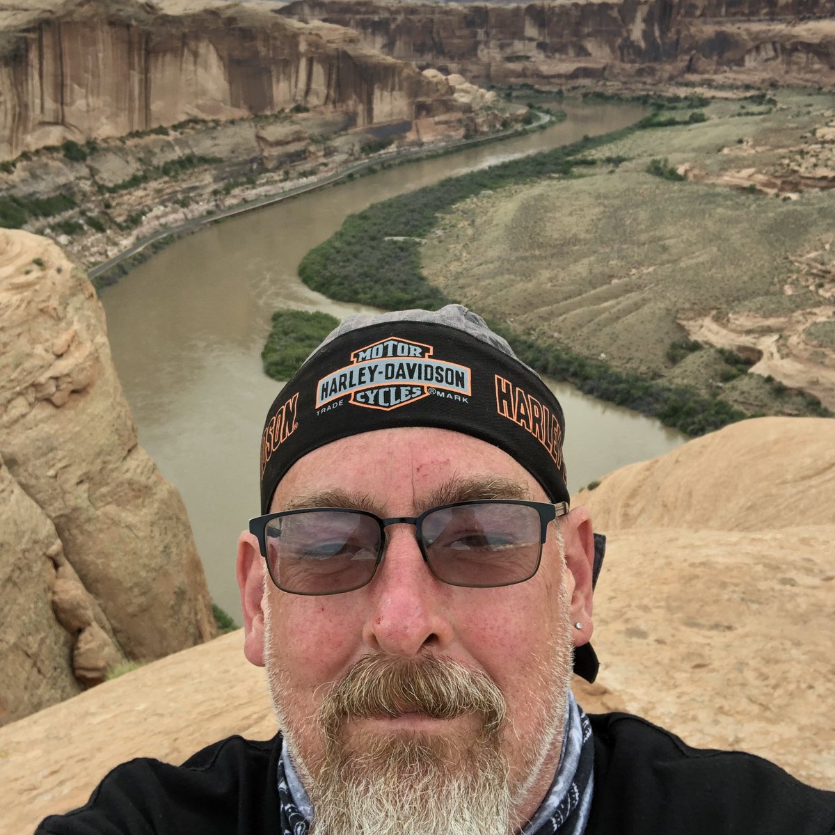 VorpalSushi tweet media