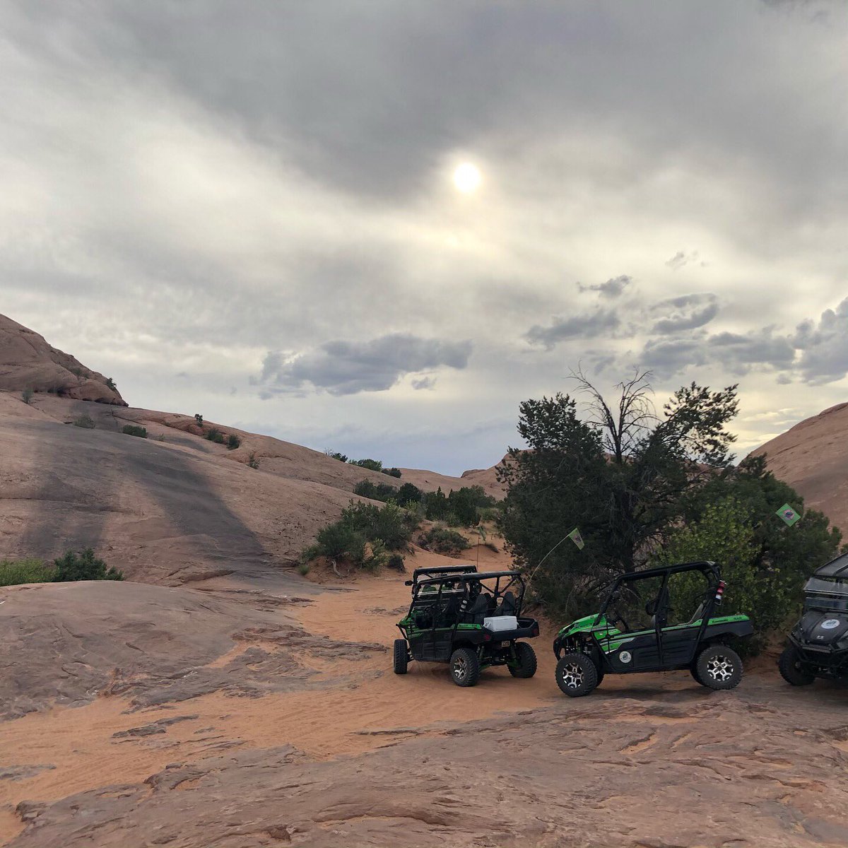 VorpalSushi tweet media