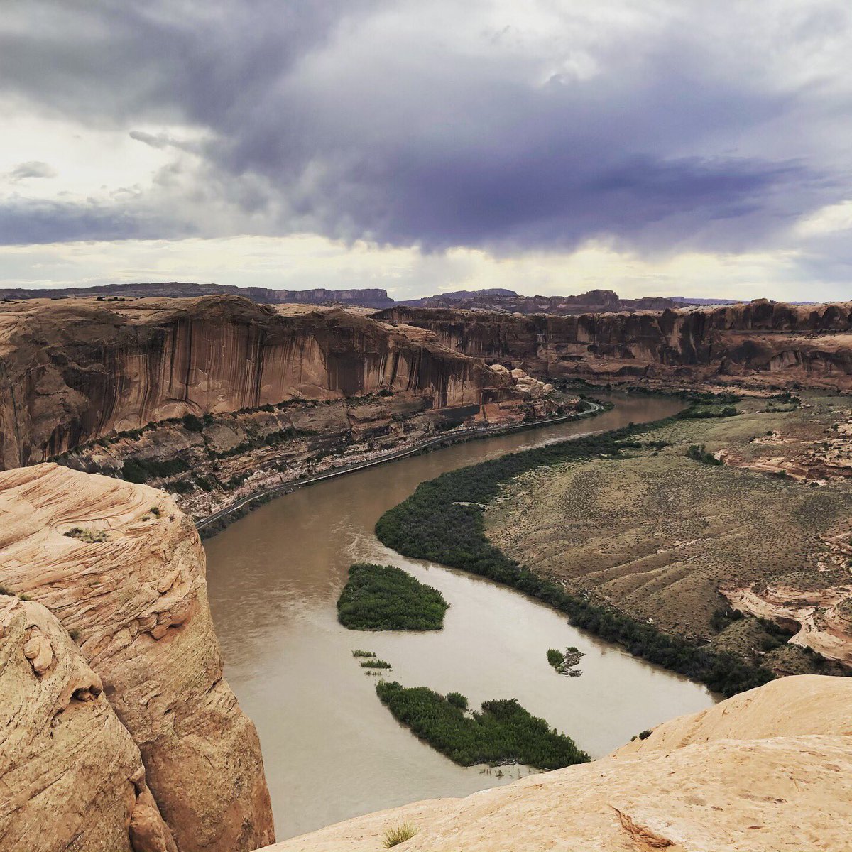 VorpalSushi tweet media