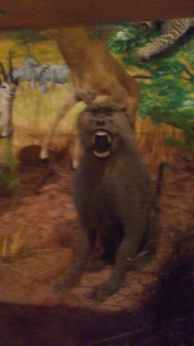 DefacedCreation's tweet image. Henry: *does thing*

Ink Demon: