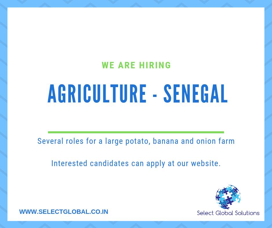 SelectGlobalSo1's tweet photo. #jobs #agriculture #senegal #farming #agronomy #agronomist 
Apply at https://t.co/yd8Tw5ka1o https://t.co/AIOChU3qFB
