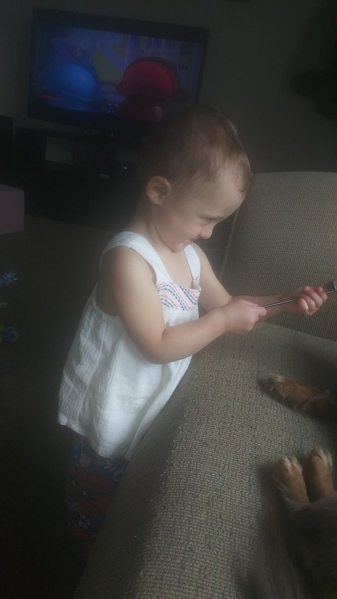 maryJzelinski's tweet photo. Had an Awesome Time with the Best Triplets in the World Aunt Mary Loves You to the Moon and Back https://t.co/uoCPjkqOgS
