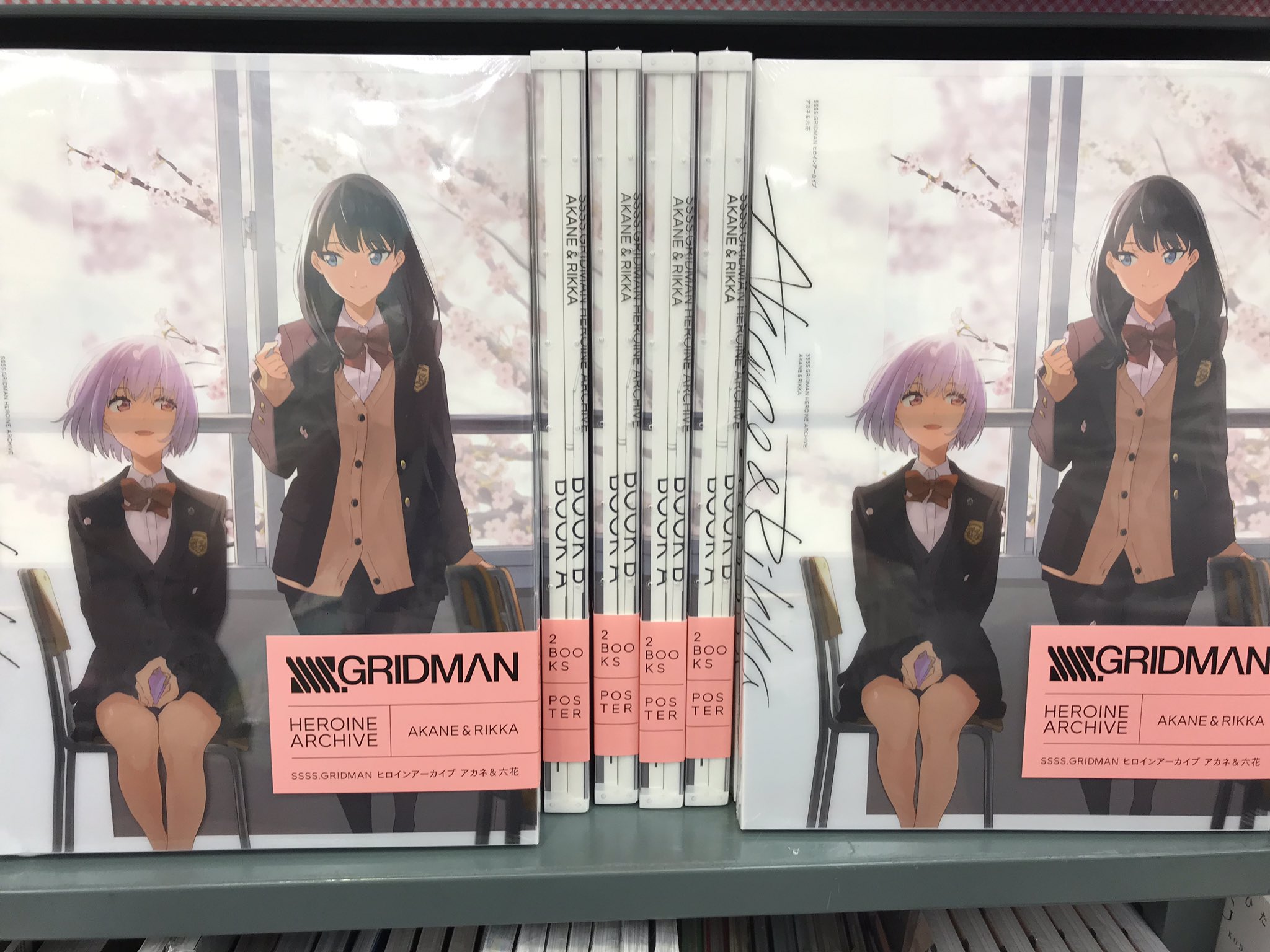 品 SSSS.GRIDMANヒロインアーカイブ アカネ&六花 - 本 品 SSSS.GRIDMANヒロインアーカイブ アカネ&六花 - 本