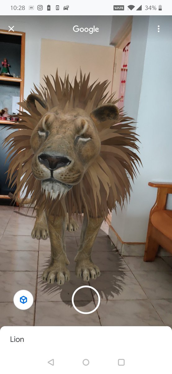 KarthikJannu's tweet image. Lion in the house! Rawr ..loving this new feature by @Google @GoogleIndia  hehe good one @vibha_sc  #google #googlespace
