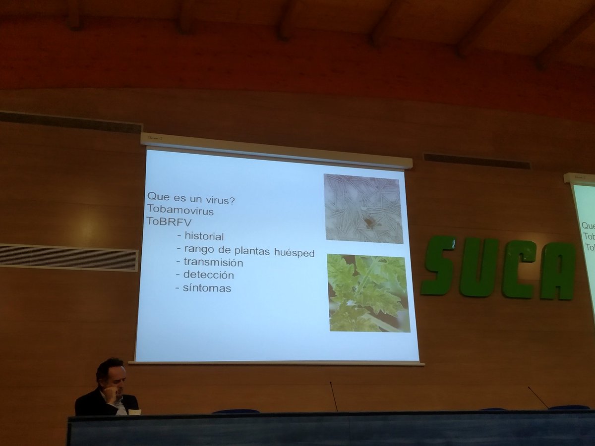 KarmaROVA's tweet photo. #Fitovirus conocidos en el campo de #Almería @DirkJanssen01 se centra en explicarnos las características generales de los tobamovirus como #TMV #ToMV para entender al nuevo virus #ToBRFV @IfapaJunta #CentroIFAPAlaMojonera @RAIF_noticias @PlantProtectio3 @LetiVirus @AgriculturAnd https://t.co/lUSOEzYbHc