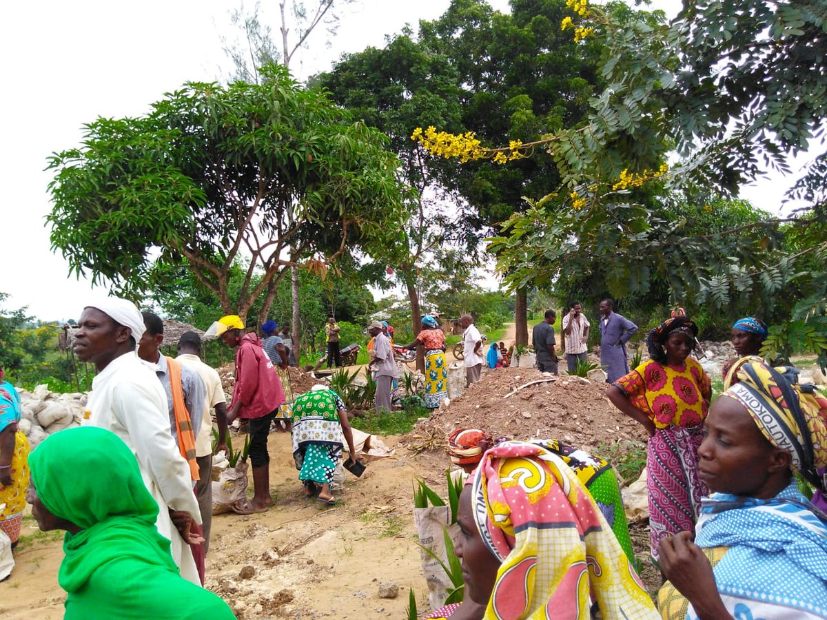 SubcountyAdmin's tweet photo. So far, hundreds of farmers have benefited from the program which began early this week in Likoni Sub County before carrying on in Kisauni Sub County on Thursday.🌿🌰🌴 #FreeSeedlings #CoconutAndCashewnut https://t.co/NZ8j3U46j1
