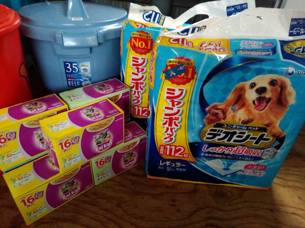 花の木シェルター ご支援ありがとうございます ご飯がたくさん いっぱい食べて元気に育て ฅ W ฅ T Co Swomitba5c Twitter