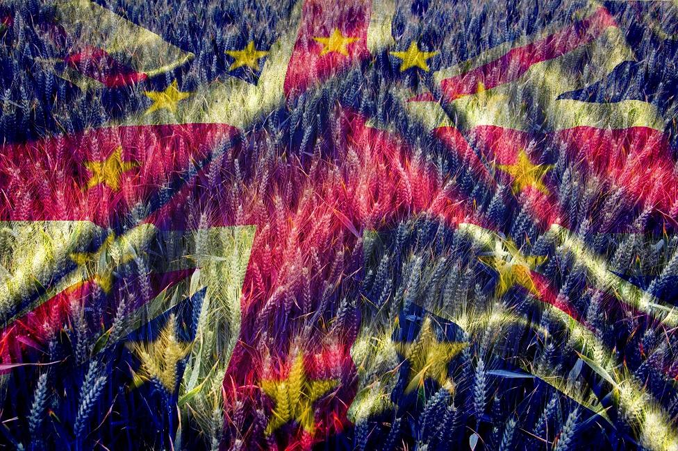 Tom Heathcote, Knight Frank's new Head of Agri Consultancy, examines the options for farmers and landowners concerned about profitability in a post-Brexit world. 
knightfrank.co.uk/blog/2019/06/0…
#knightfrank #landowners #agriculture #ruralreport