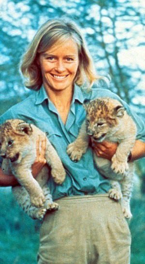 Happy 88th birthday to Virginia McKenna, born on this date in 1931. 