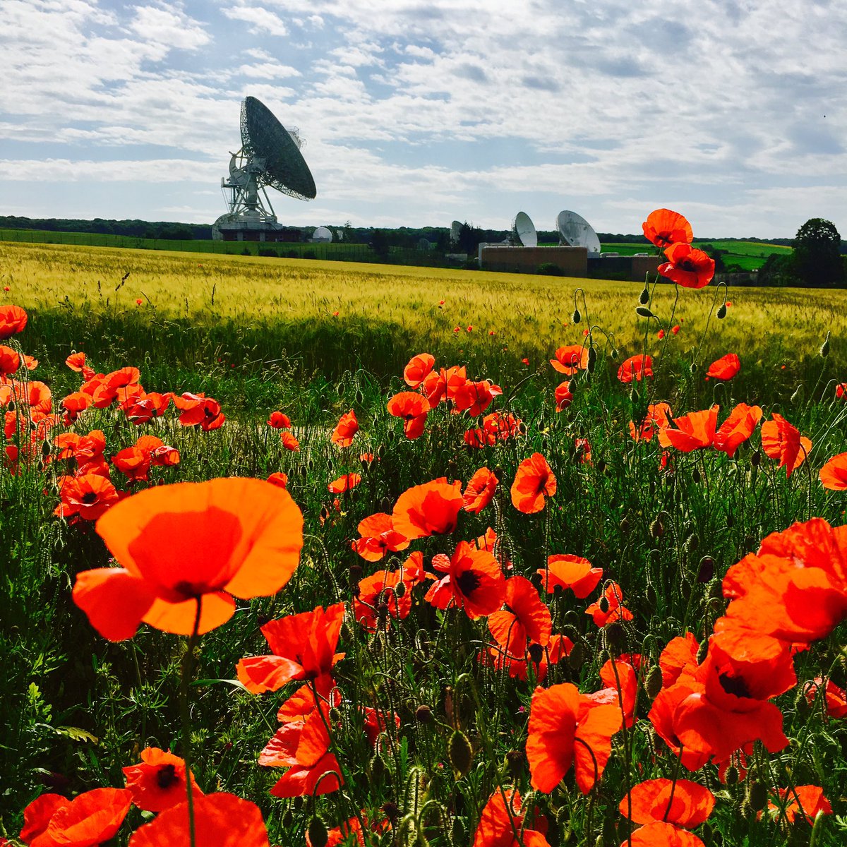 AnneCaporal's tweet photo. Quel privilège de visiter le téléport de Bercenay-en-Othe avec Le club des actionnaires Orange, équipes de passionnés et grande fierté des équipes de la Satellite factory #Proudtobeorange #weareOINIS @tomgirardin @CecDusol @deronchaine https://t.co/Cwy8FggF7J