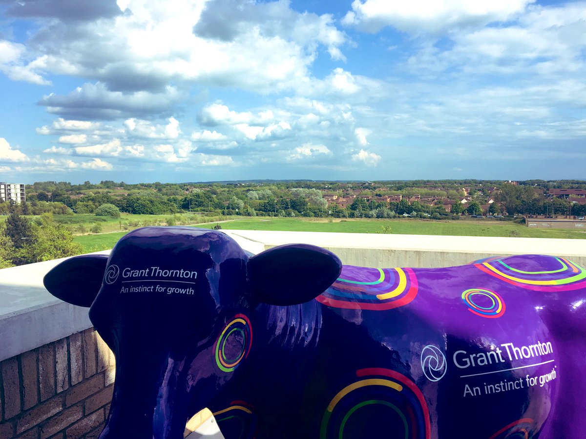 Time to say farewell <a href="/GrantThorntonUK/">Grant Thornton UK</a> It’s been a great experience working with great people @GTMiltonKeynes. Looking forward to a #longsummer 😎 and excited to find #newopportunities #pasturesnew #letshavecoffee